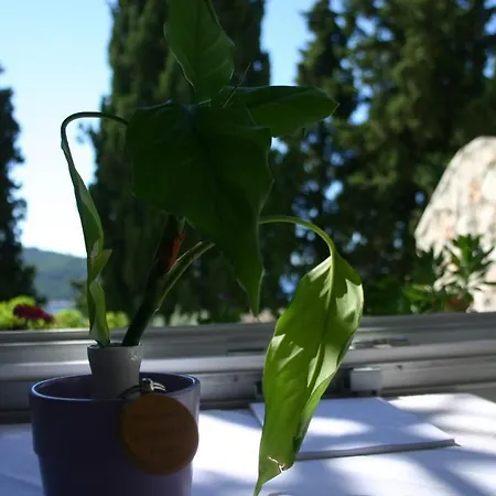 아파트먼트 센터 *