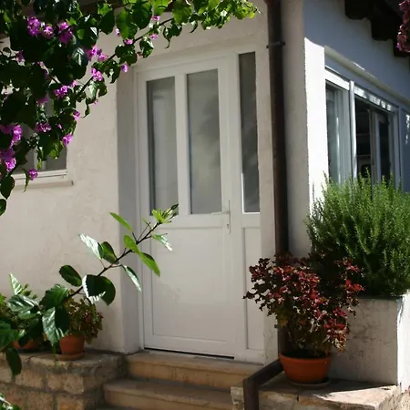 ドゥブロヴニク センター *